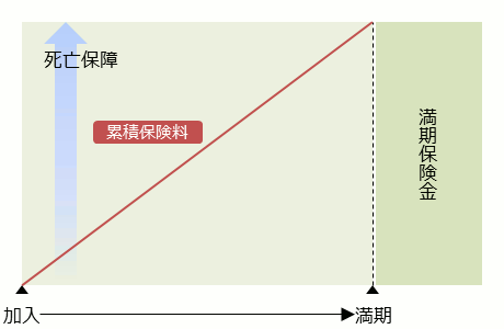 養老保険（全期払い）