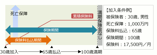 低解約返戻型定期保険加入条件 被保険者：30歳、男性 死亡保障：1,000万円 保険料払込：65歳 保険期間：100歳 保険料：17,500円／月 満期保険金はない