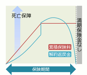 低解約返戻型定期保険 満期保険金無し
