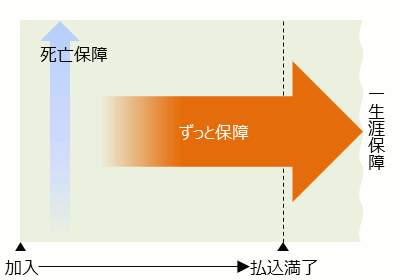 終身保険は一生涯保障
