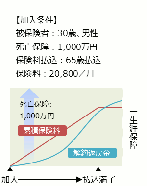 終身保険加入例 被保険者：30歳、男性 死亡保障：1,000万円 保険料払込：65歳払込 保険料：20,800／月