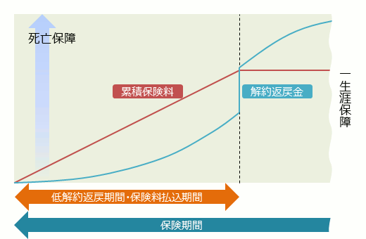 低解約返戻型終身保険の低解約期間と返戻金