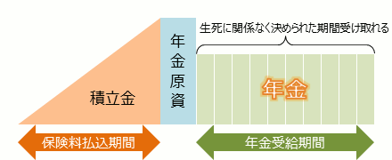 確定年金は生死に関係なく決められた期間受け取れる