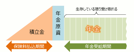 終身年金は生存している限り受け取ることができる