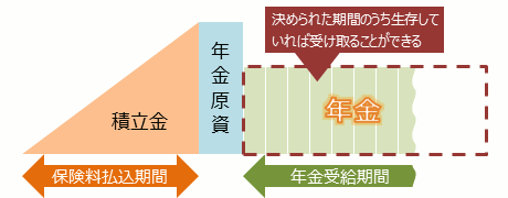 "有期年金は決められた期間のうち生存して いれば受け取ることができる"