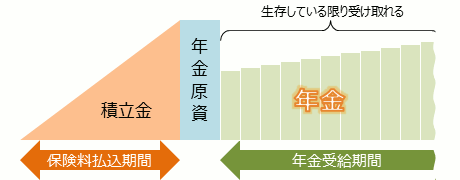 逓増型終身年金は長生きするほど年金額が大きく なっていく