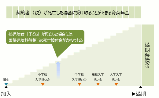 学資保険は、各祝い金、満期保険金を受け取れる 親が死亡した場合には、育英年金が受け取れるものもあり、 子どもが死亡した場合には、累積保険料相当の給付金が 支払われる