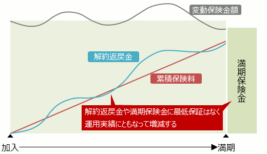 変額保険有期型はでの解約返戻金や満期保険金は 運用実績にともなって増減する。最低保証はない。