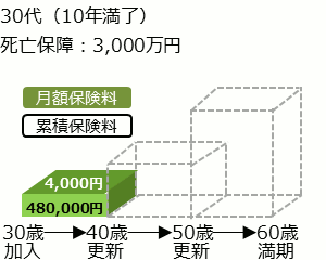 30代更新型定期保険10年満了の保険料