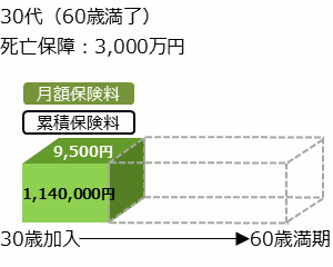 30代更新型定期保険全期型最初の10年の保険料