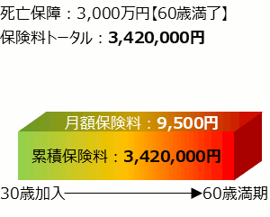 30代更新型定期保険全期型30年の保険料